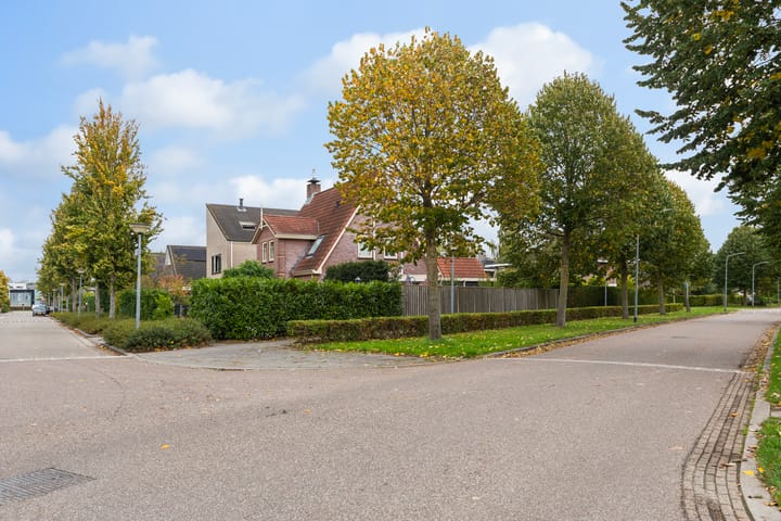 Foto 49 van Brancusistraat 44