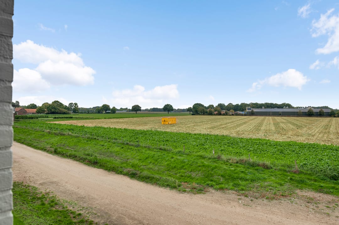 Photo 47 of Lewieze 30