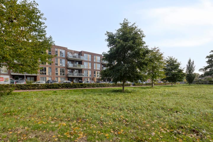 Photo 39 of Havenspoor 195