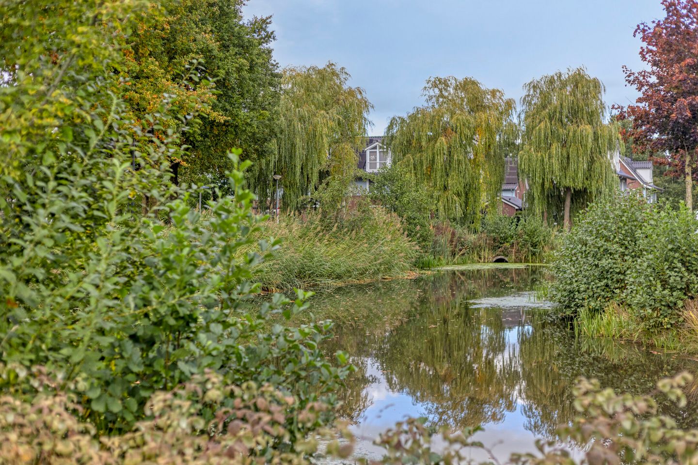 Foto 40 van Eikenlaan 121