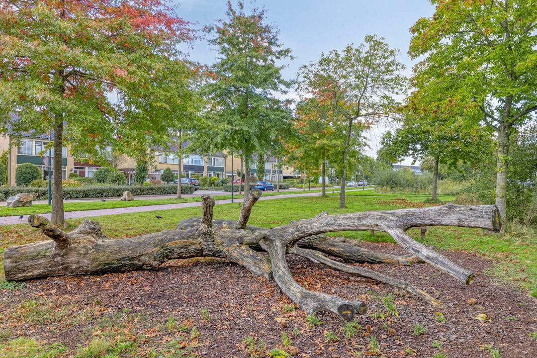 Foto 41 van Eikenlaan 121