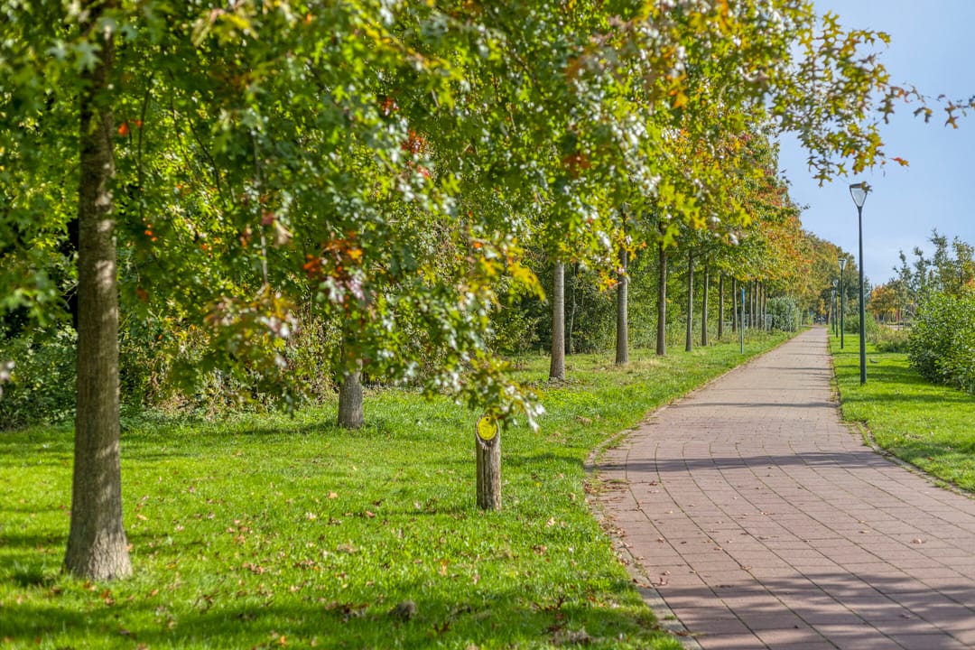 Foto 43 van Eikenlaan 121