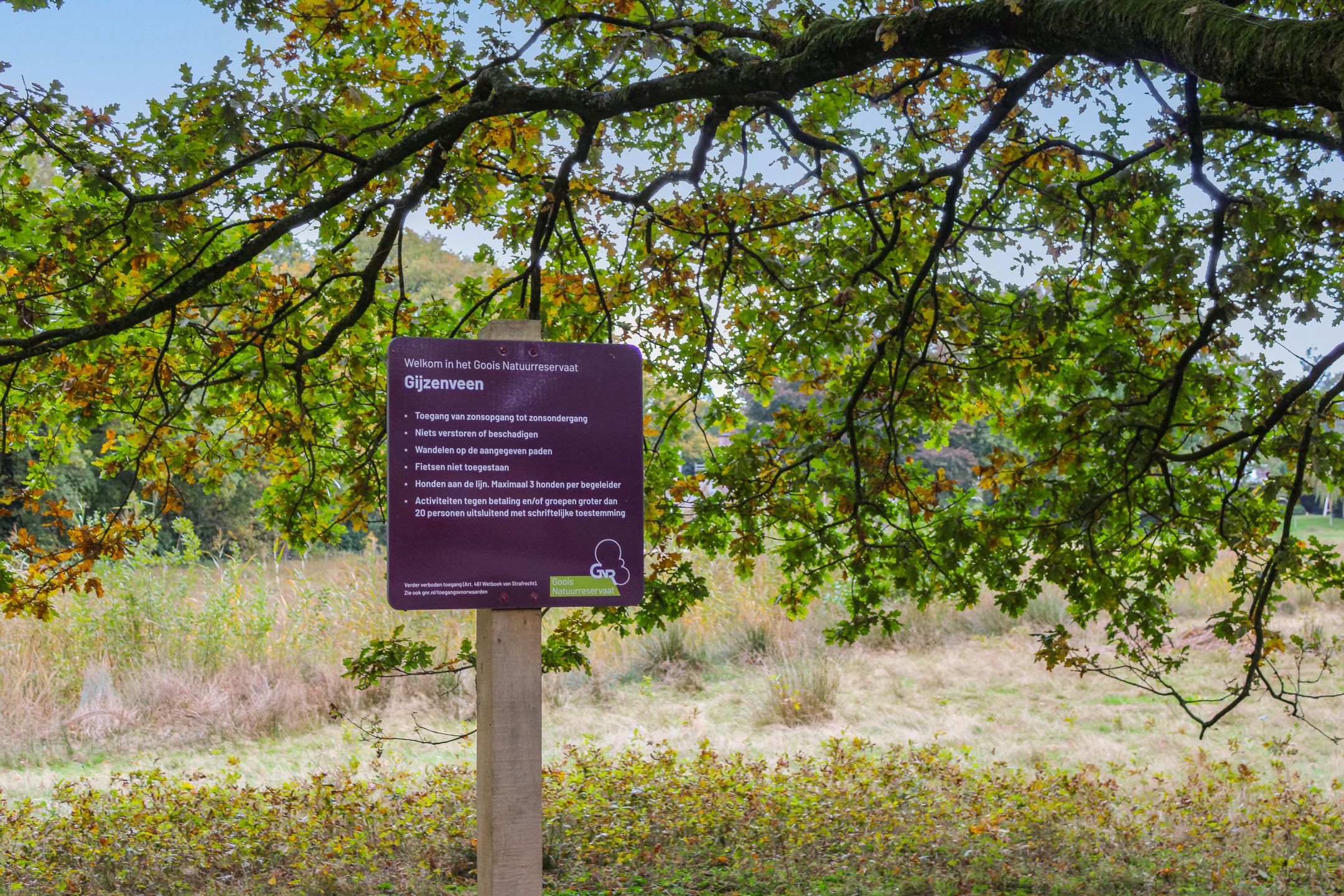 Foto 30 van Mossenmeent 5