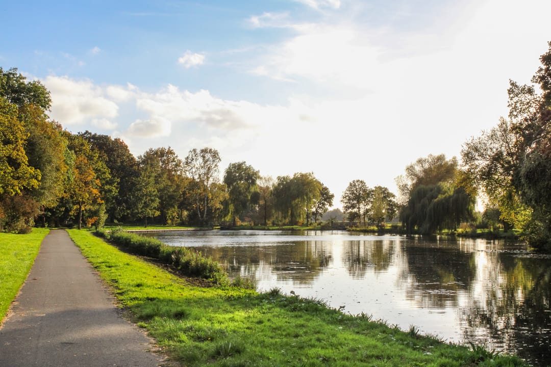 Foto 32 van Mossenmeent 5