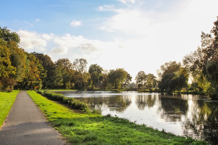 Foto 32 van Mossenmeent 5