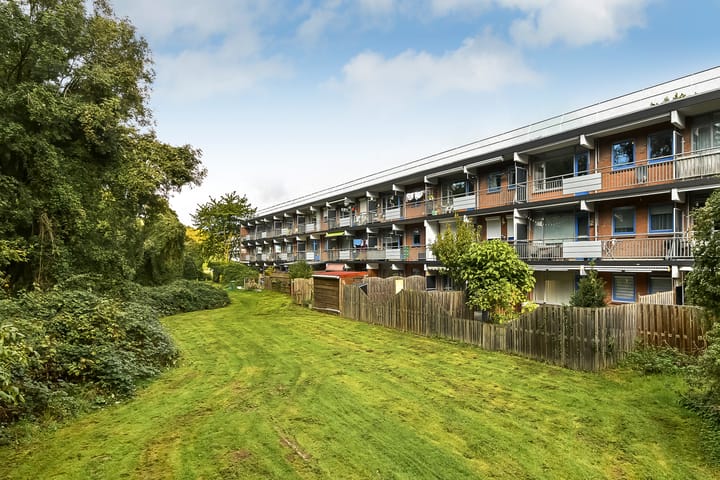 Foto 2 van Orionsingel 310