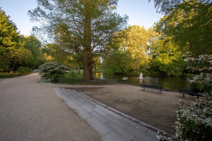 Foto 22 van Zaanstraat 46