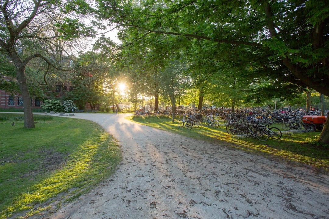 Photo 23 of Zaanstraat 46