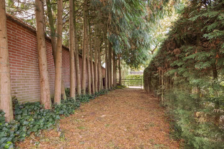 Foto 36 van Horsterdijk 35-A