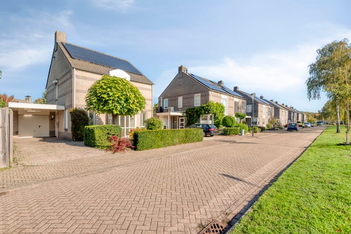 Foto 12 van Munsel 139