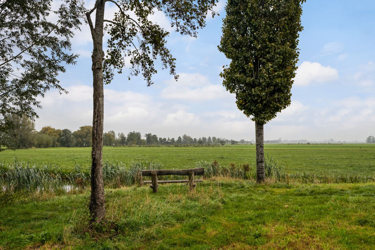 Foto 44 van Waterviolier 92