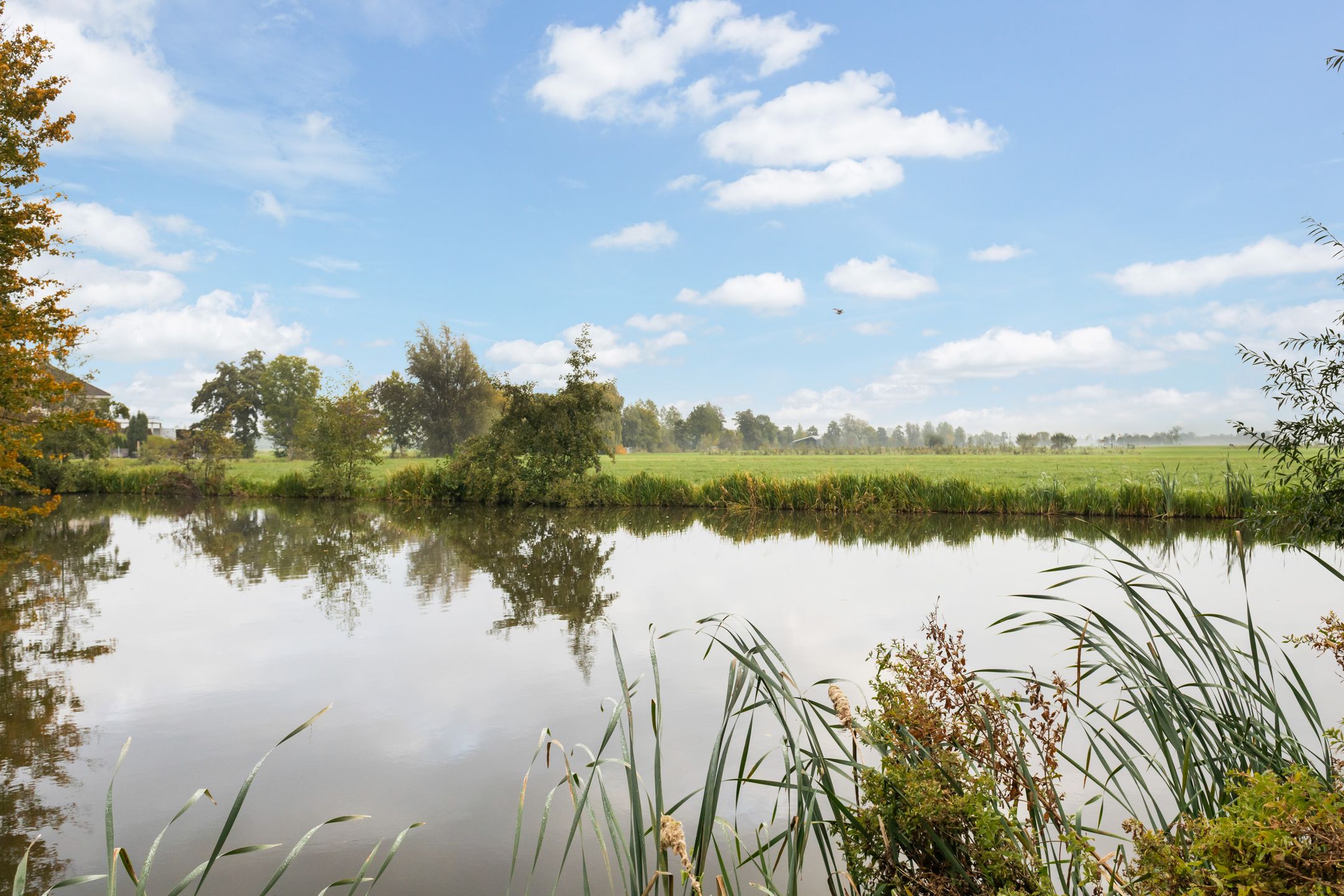 Foto 45 van Waterviolier 92