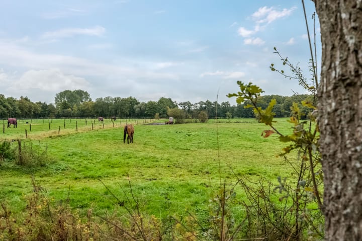 Foto 9 van Hullenweg 31