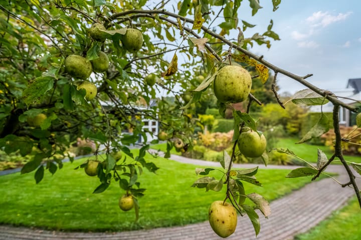 Foto 40 van Hullenweg 31