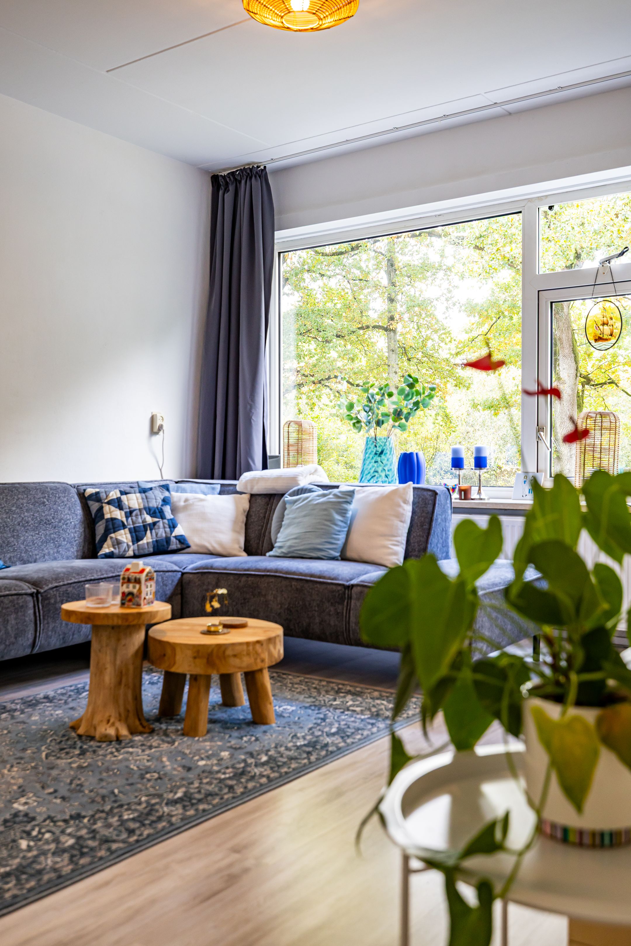 Foto 12 van Gouwe 94