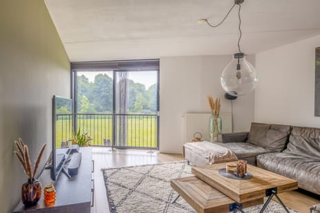 Kokardebloem 27 tertiary image