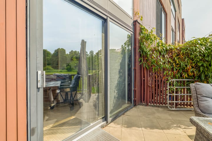 Foto 21 van Kokardebloem 27