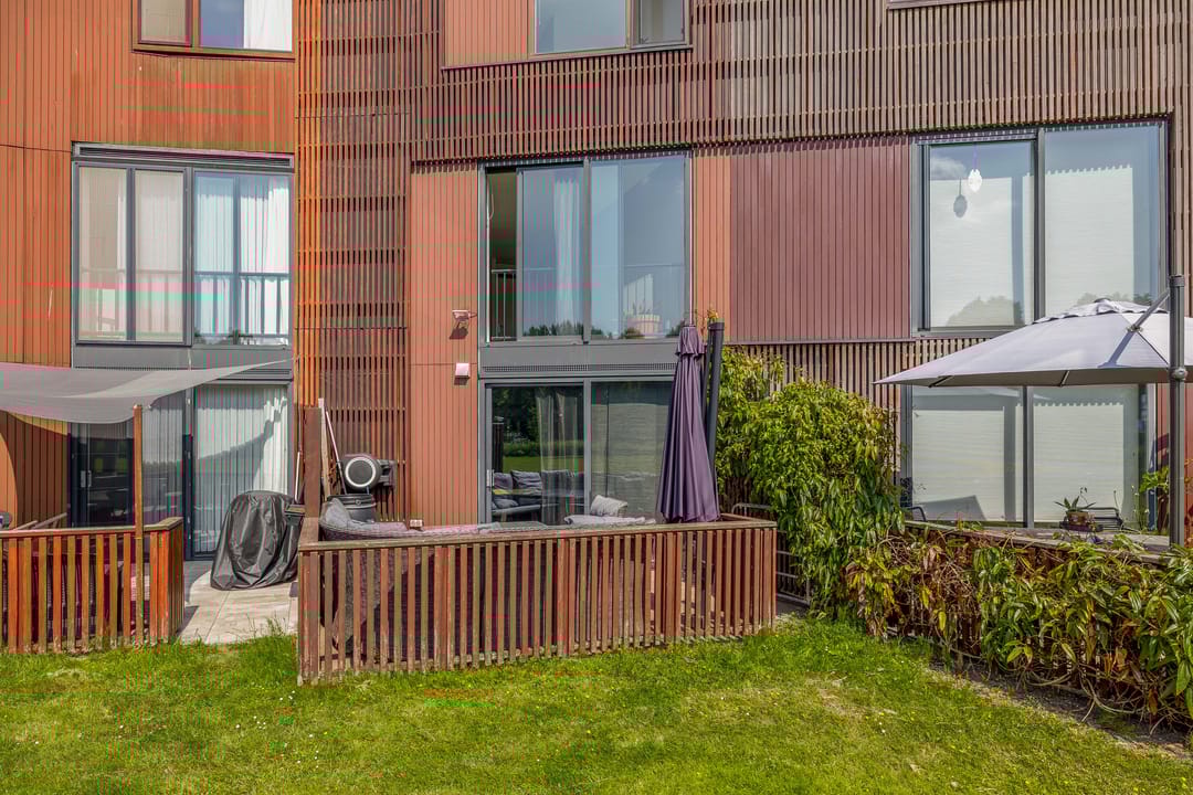 Foto 22 van Kokardebloem 27