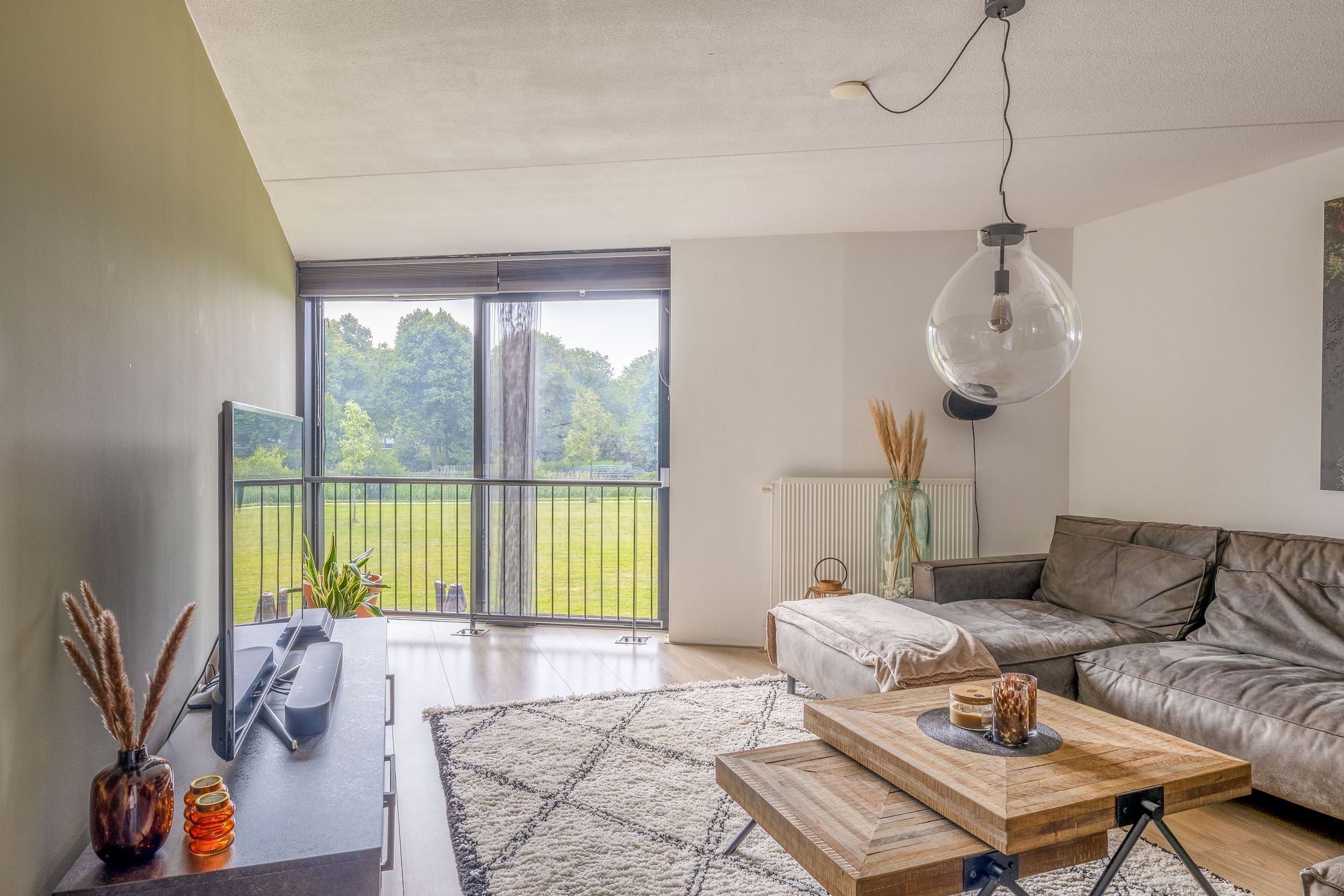 Foto 24 van Kokardebloem 27