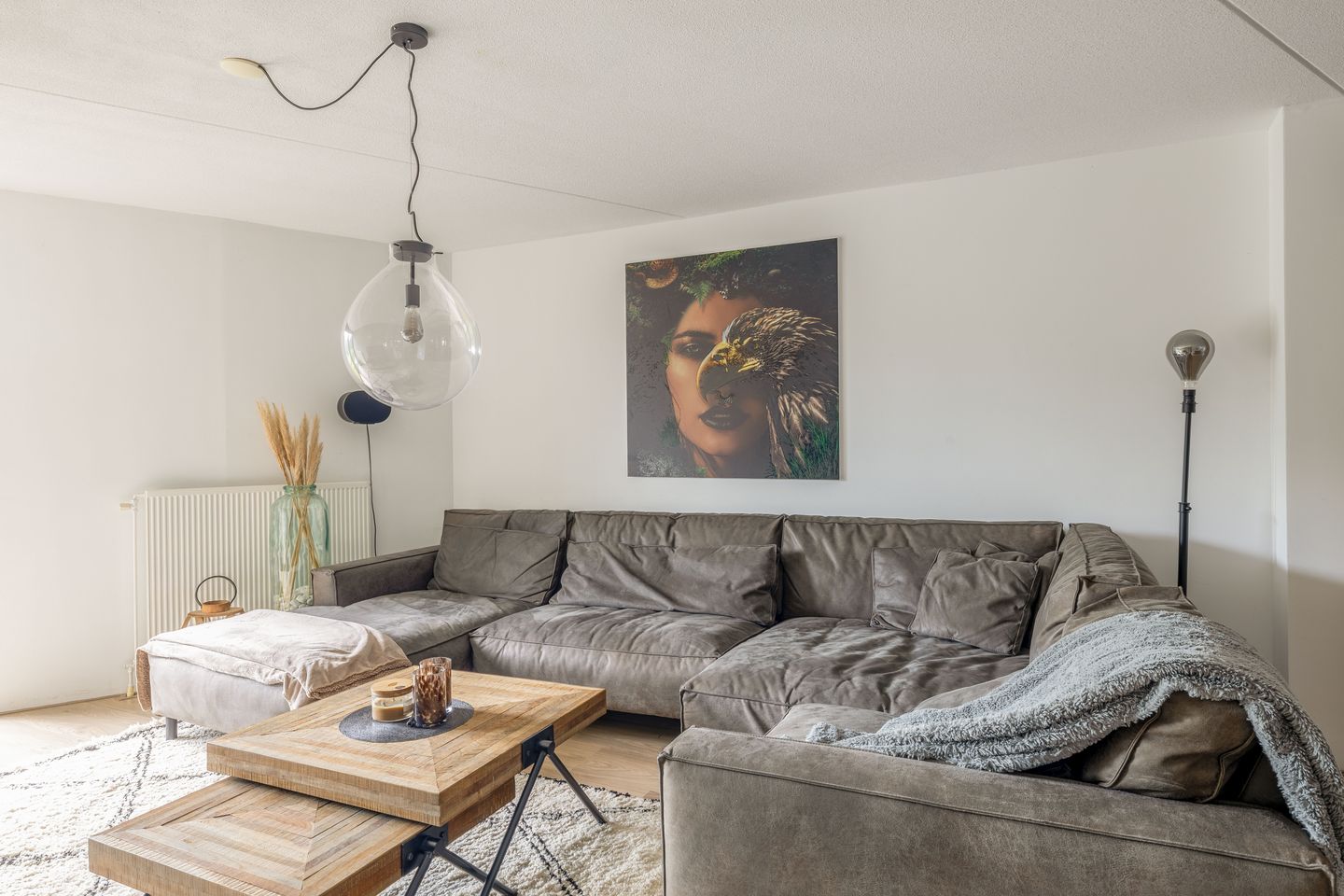 Foto 25 van Kokardebloem 27