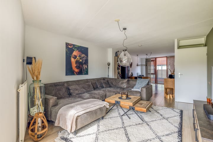 Foto 26 van Kokardebloem 27