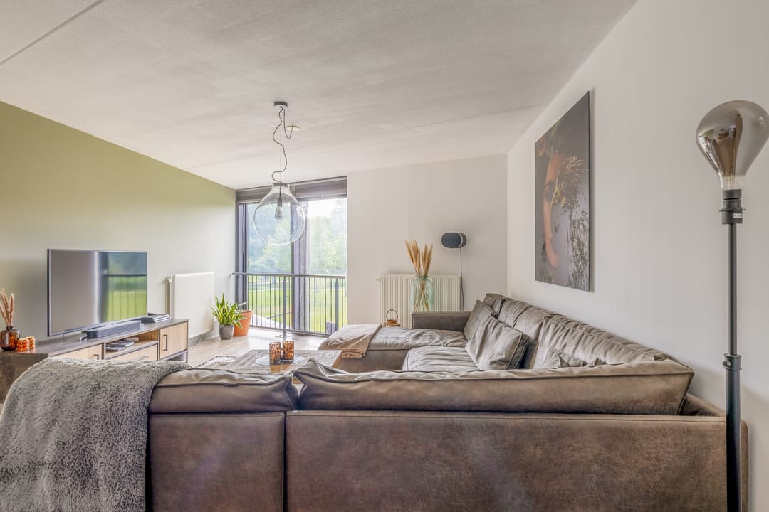 Foto 28 van Kokardebloem 27