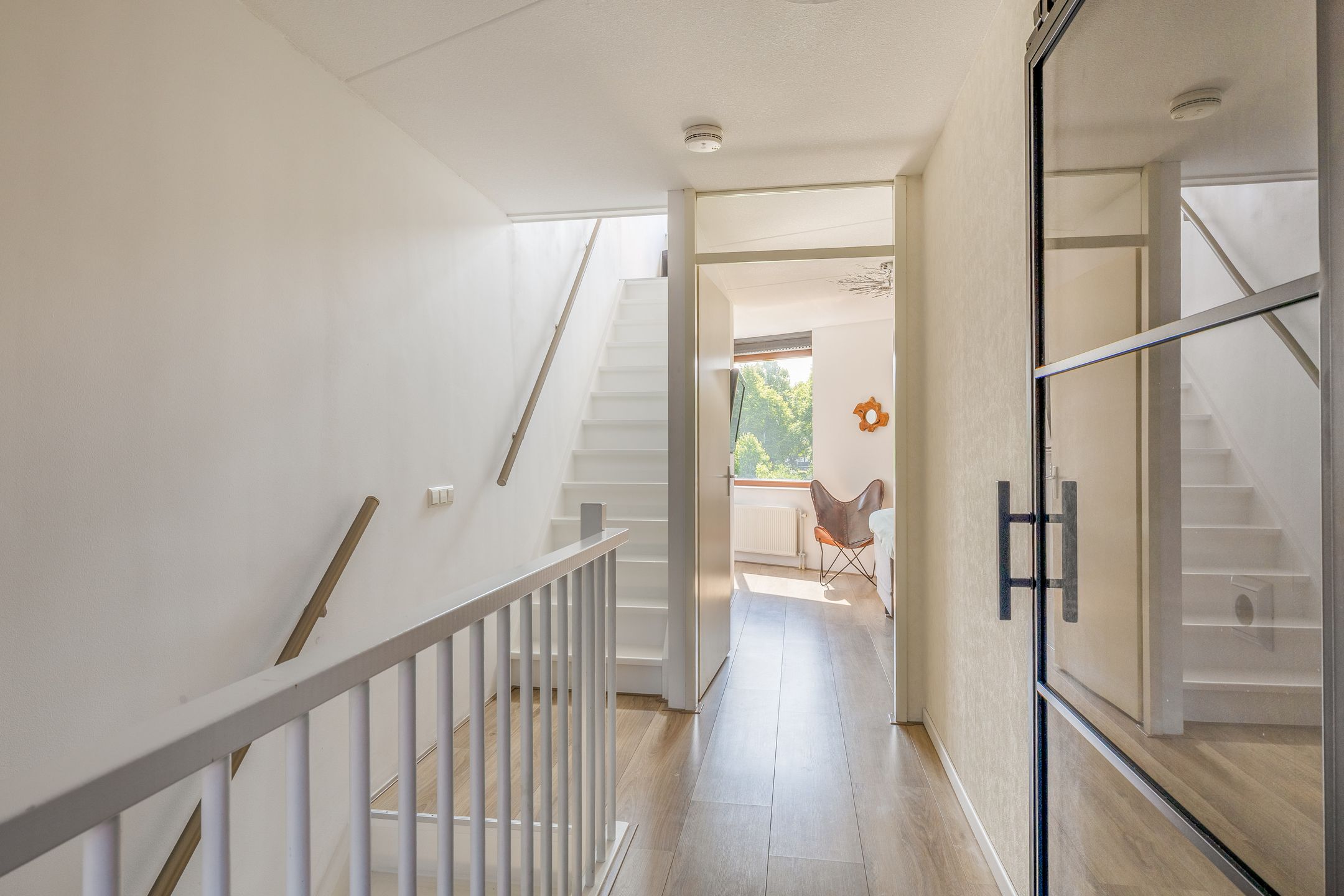 Foto 33 van Kokardebloem 27