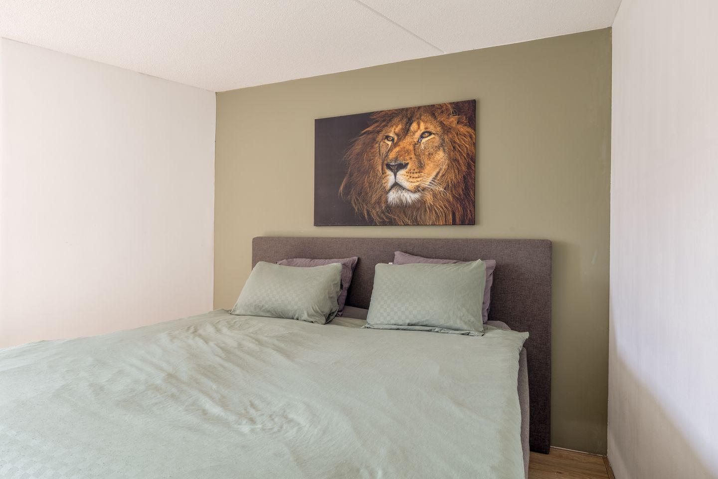 Foto 35 van Kokardebloem 27