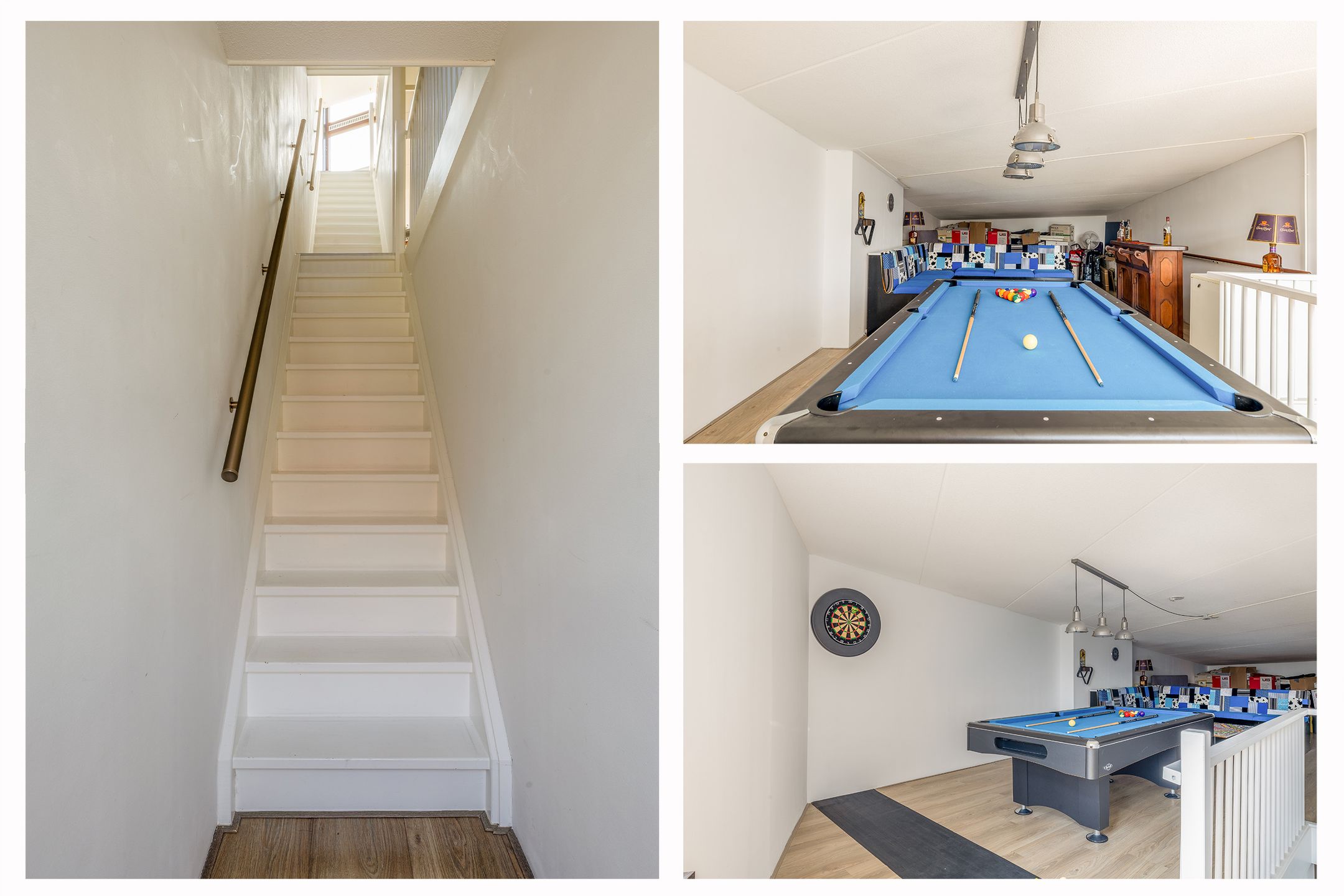 Foto 45 van Kokardebloem 27