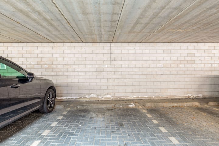 Foto 50 van Kokardebloem 27