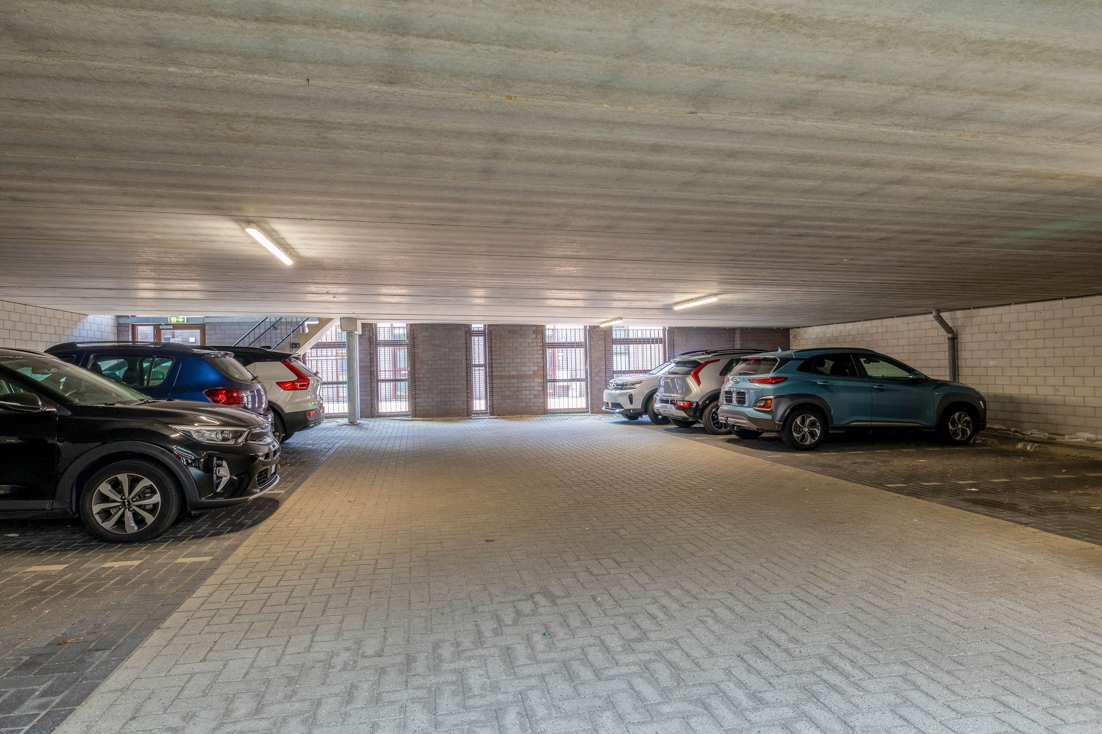 Foto 51 van Kokardebloem 27