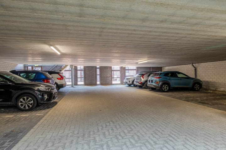 Foto 51 van Kokardebloem 27