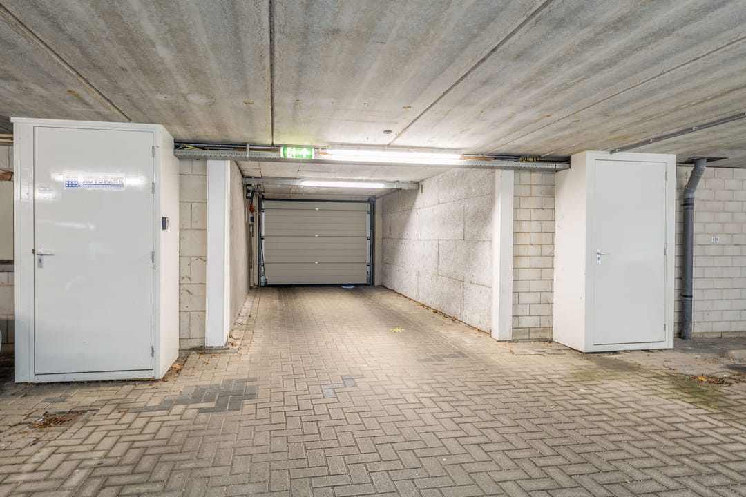 Foto 52 van Kokardebloem 27