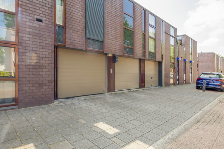 Foto 53 van Kokardebloem 27