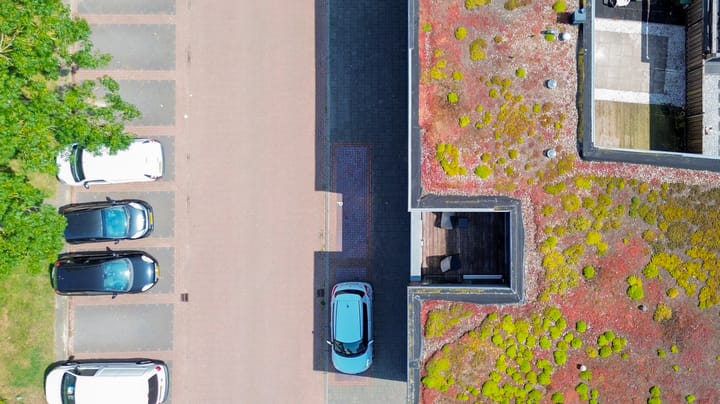 Foto 54 van Kokardebloem 27