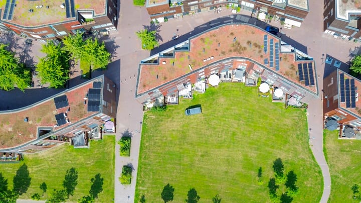 Foto 57 van Kokardebloem 27