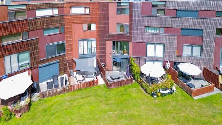 Foto 58 van Kokardebloem 27