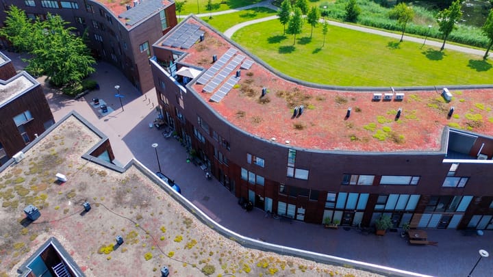 Foto 59 van Kokardebloem 27