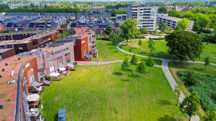 Foto 60 van Kokardebloem 27