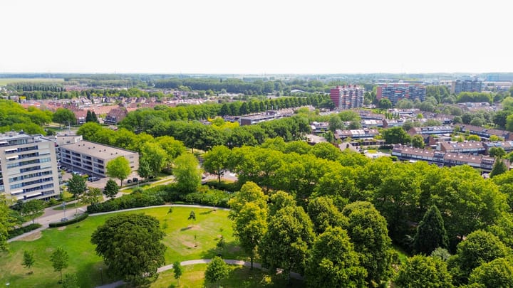 Foto 61 van Kokardebloem 27