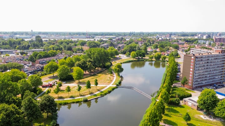 Foto 62 van Kokardebloem 27