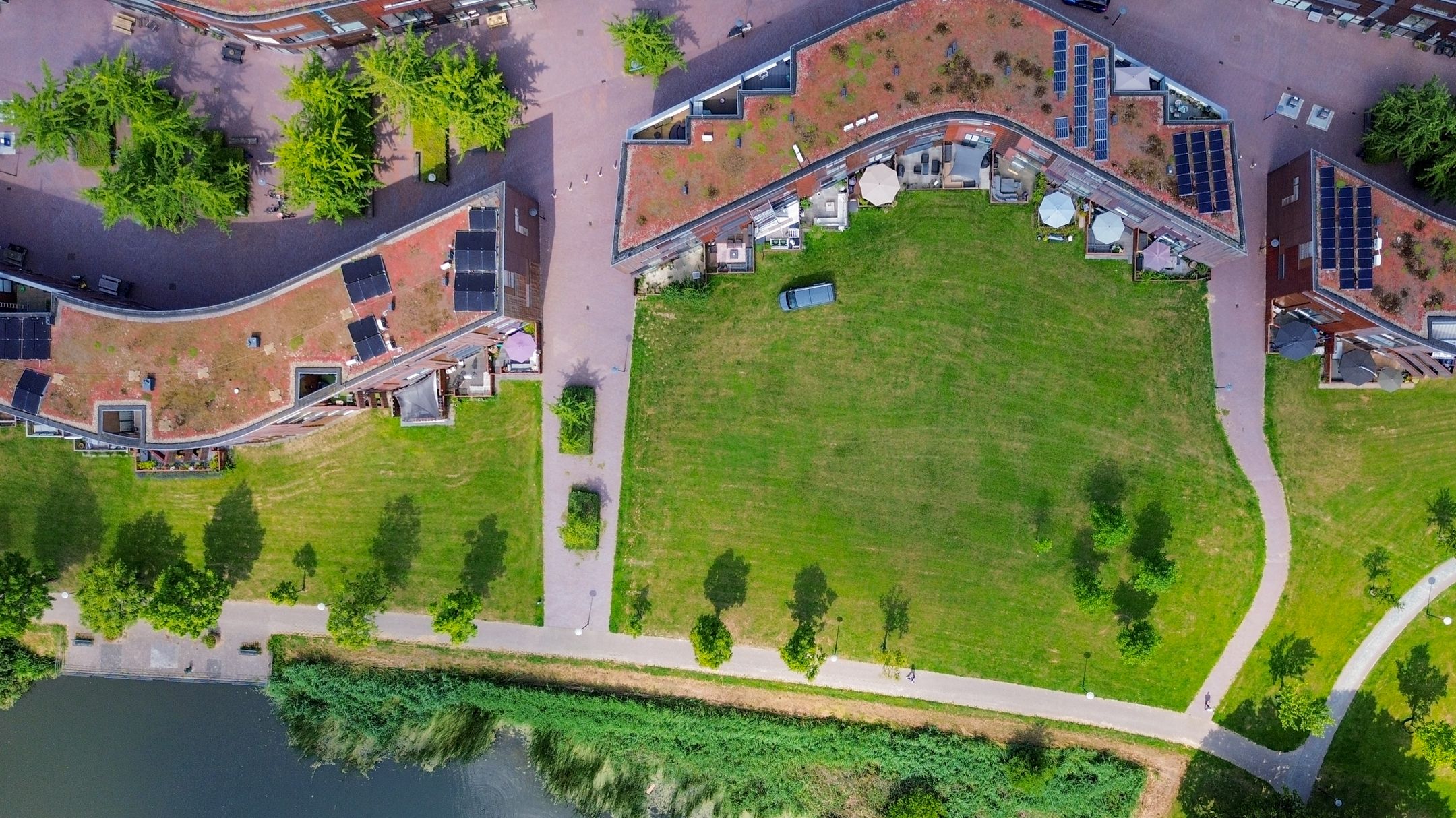 Foto 63 van Kokardebloem 27