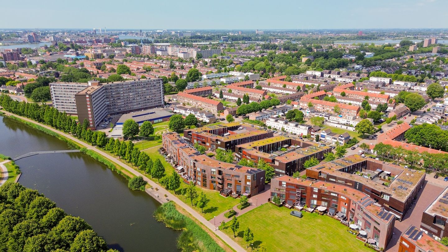 Foto 64 van Kokardebloem 27