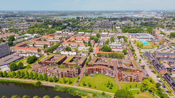 Foto 65 van Kokardebloem 27