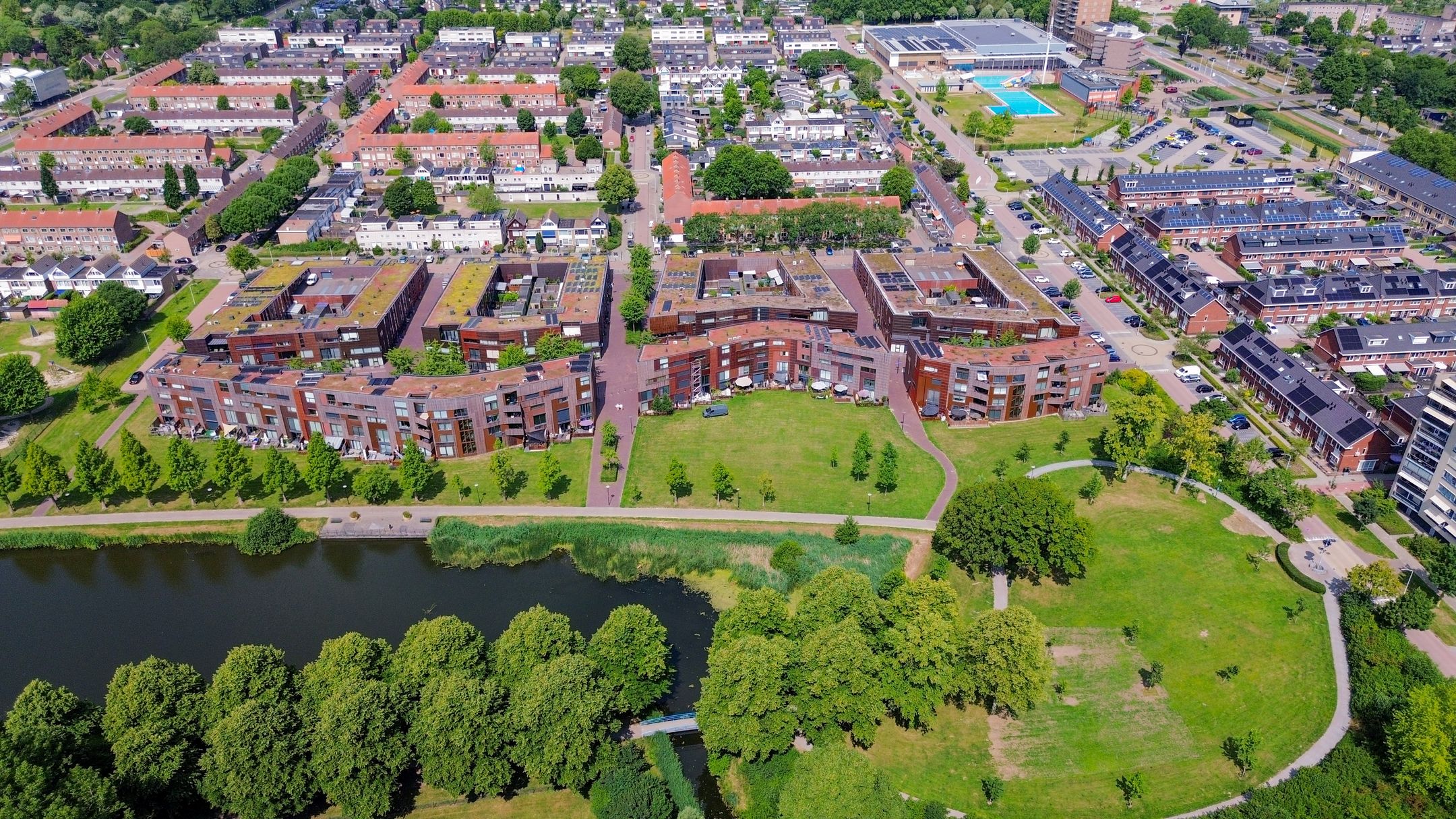 Foto 66 van Kokardebloem 27