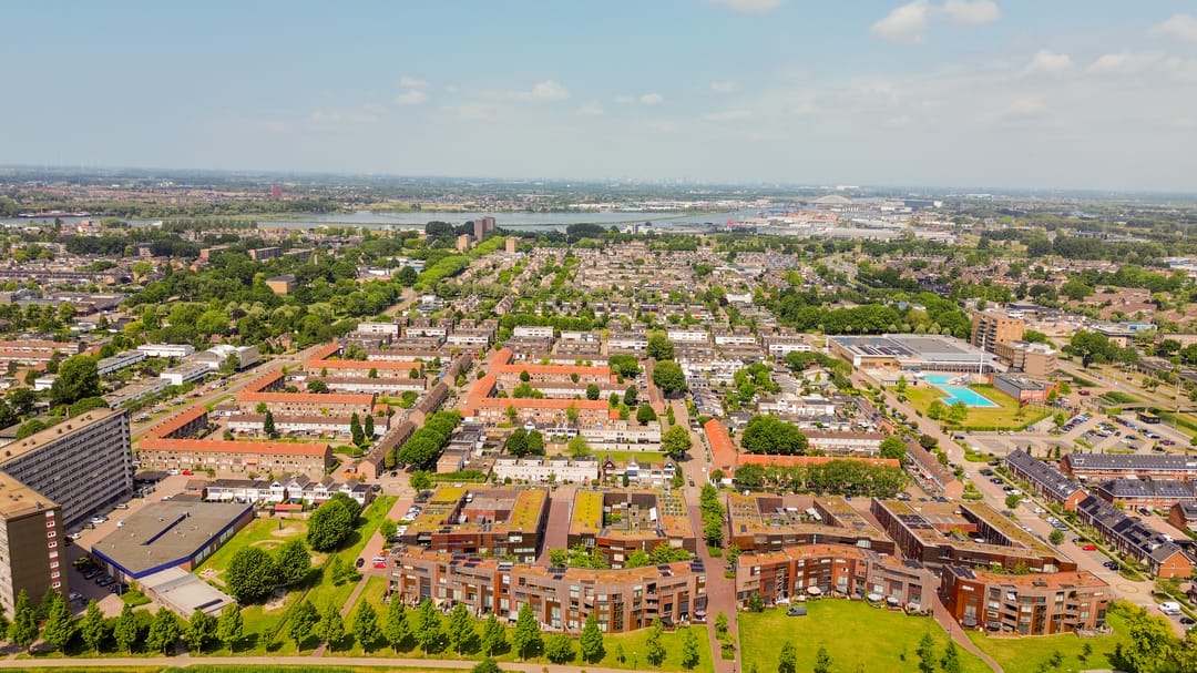 Foto 67 van Kokardebloem 27