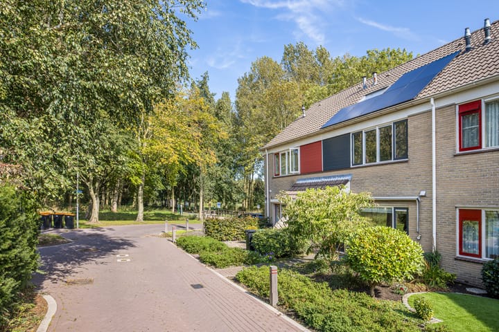 Foto 4 van Papaverveld 4