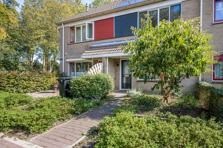 Foto 5 van Papaverveld 4