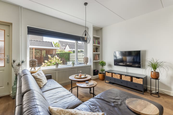 Foto 10 van Papaverveld 4