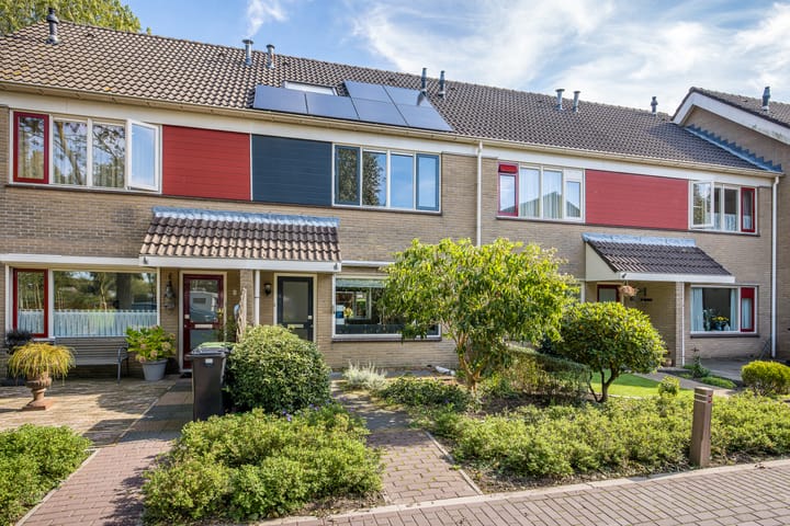 Foto 40 van Papaverveld 4